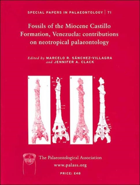Special Papers in Palaeontology, Fossils of the Miocene Castillo Formation, Venezuela : Contributions in Neotropical Palaeontology, Paperback / softback Book