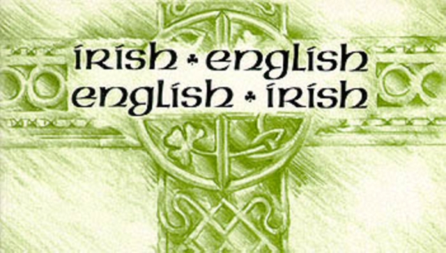 Irish-English, English-Irish Dictionary, Paperback / softback Book