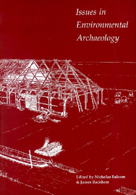 Issues in Environmental Archaeology, Paperback / softback Book