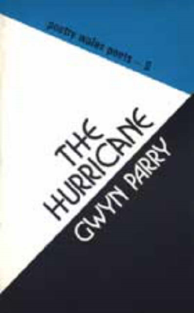 The Hurricane, Paperback / softback Book
