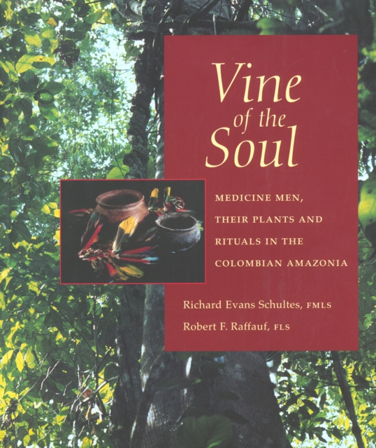 Vine of the Soul : Medicine Men, Their Plants and Rituals in the Colombian Amazonia, Paperback / softback Book