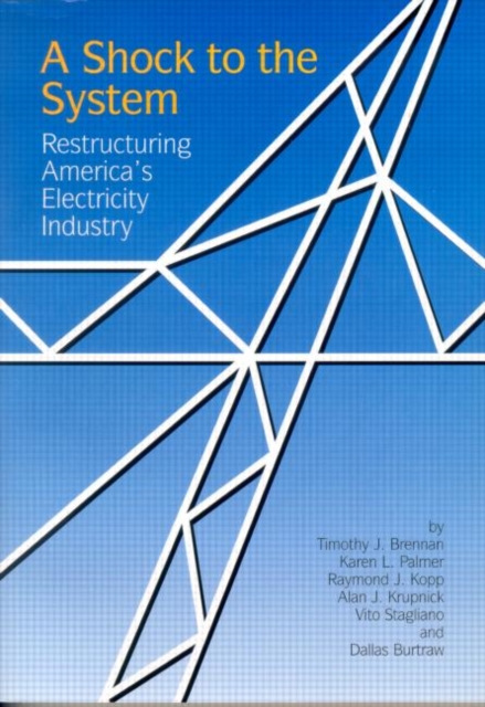 A Shock to the System : Restructuring America's Electricity Industry, Paperback / softback Book