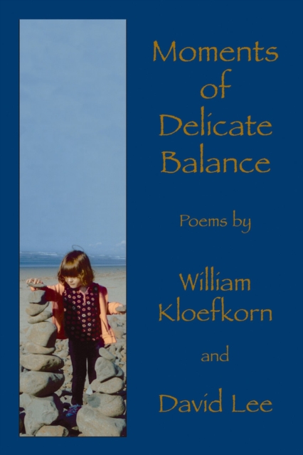 Moments of Delicate Balance, Paperback / softback Book