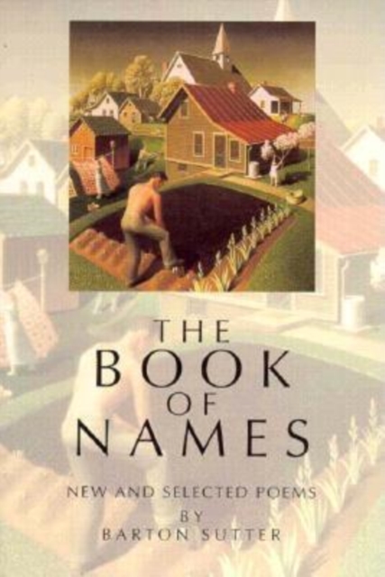 The Book of Names : New and Selected Poems, Paperback / softback Book