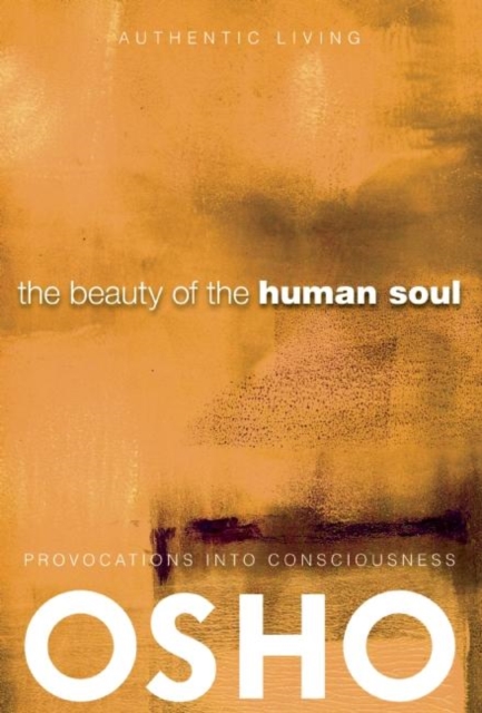 The Beauty of the Human Soul : Provocations Into Consciousness, Paperback / softback Book