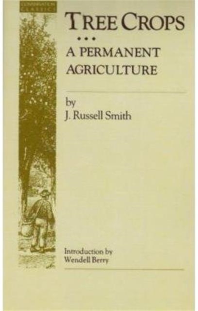 Tree Crops : A Permanent Agriculture, Paperback / softback Book
