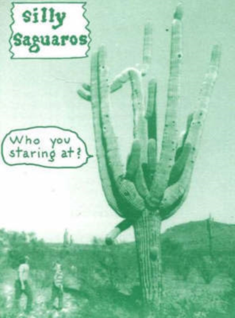 Silly Saguaros : Who You Staring At?, Paperback Book