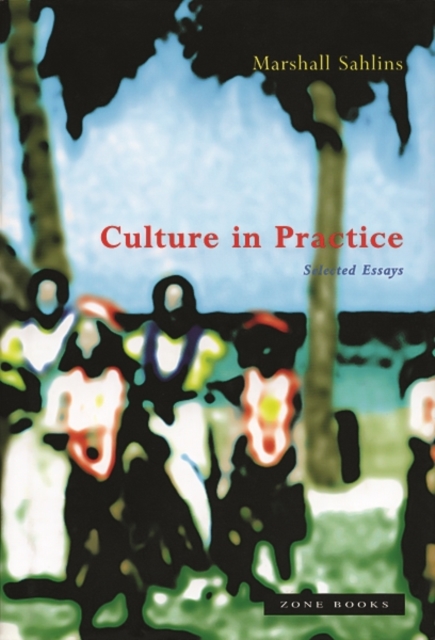 Culture in Practice : Selected Essays, Paperback / softback Book