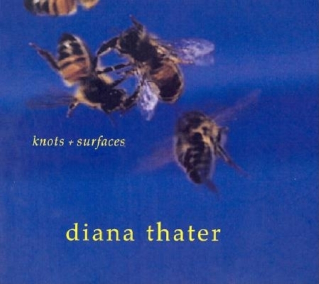 Diana Thater: Knots + Surfaces, Hardback Book