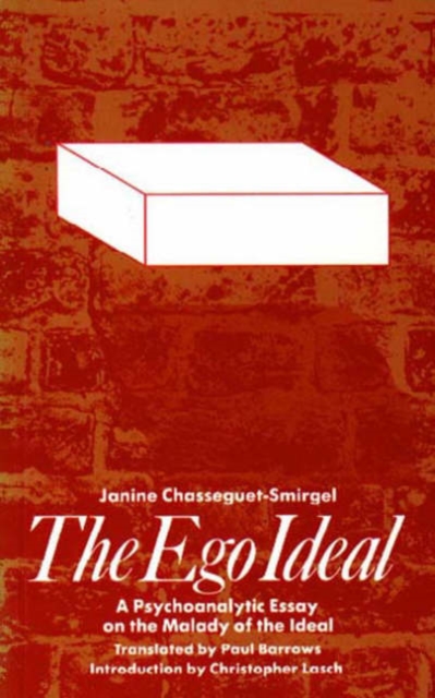 Ego Ideal : Psychoanalytic Essay on the Malady of the Ideal, Paperback / softback Book