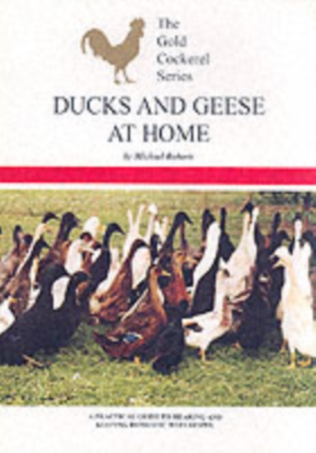 Ducks and Geese at Home, Paperback Book