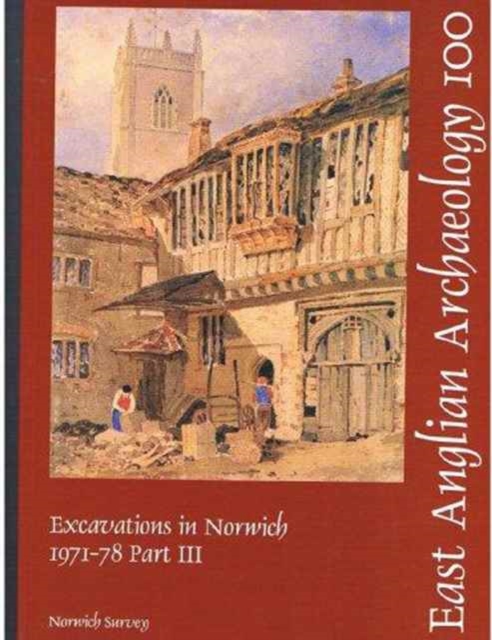 EAA 100: Excavations in Norwich 1971-8 Part 3, Paperback / softback Book