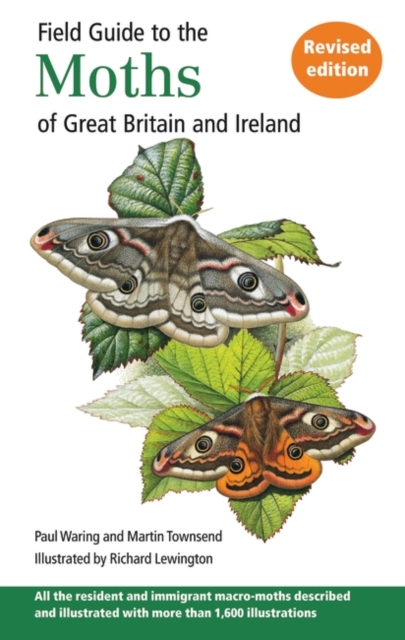 Field Guide to the Moths of Great Britain and Ireland, Paperback Book