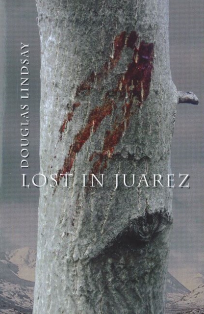 Lost in Juarez, Paperback / softback Book