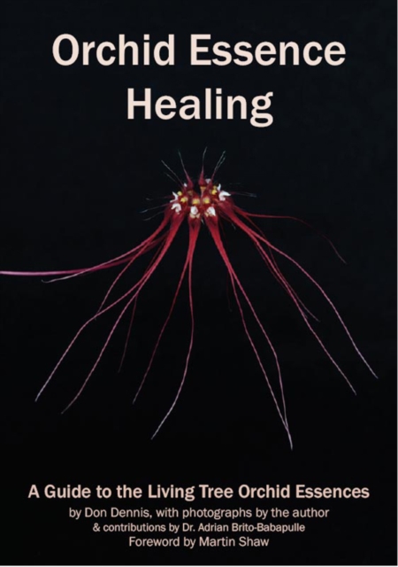 Orchid Essence Healing : A Guide to the Living Tree Orchid Essences, Paperback / softback Book
