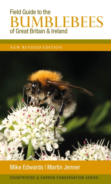 Field Guide to the Bumblebees of Great Britain and Ireland : New Revised Edition, Paperback / softback Book