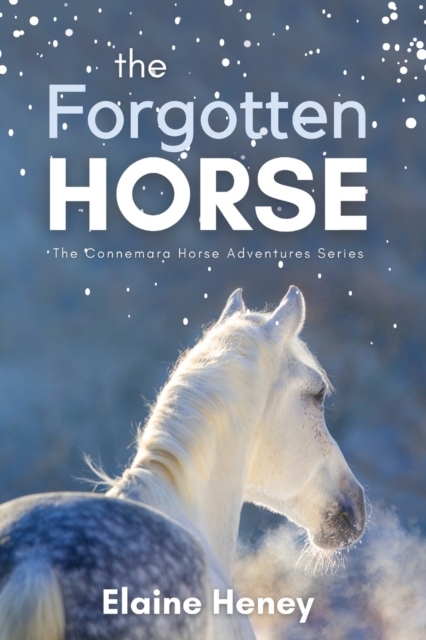 The Forgotten Horse : Book 1 in the Connemara Horse Adventure Series for Kids. The perfect gift for children age 8-12., Paperback / softback Book