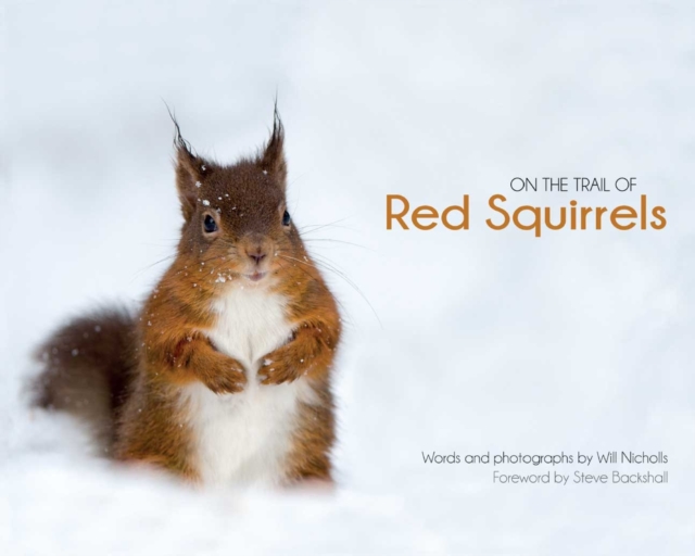 On the Trail of Red Squirrels, Hardback Book