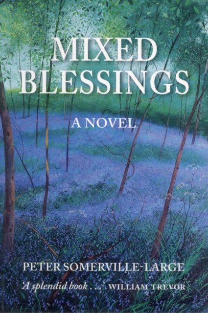 Mixed Blessings, Paperback / softback Book