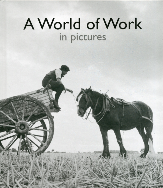 A World of Work in Pictures, Hardback Book