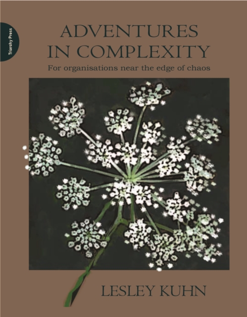 Adventures in Complexity, PDF eBook