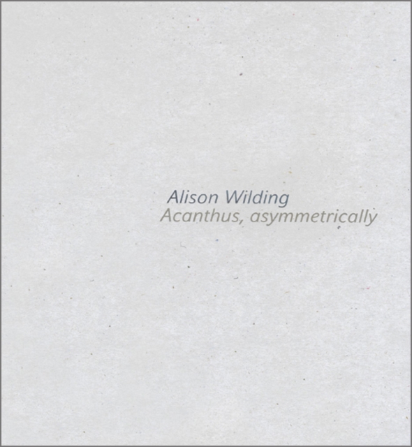 Alison Wilding : Acanthus Asymmetrically, Paperback / softback Book