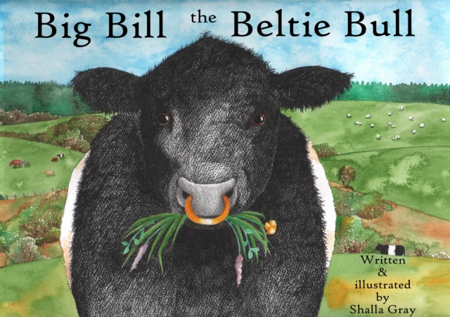 Big Bill the Beltie Bull, Paperback / softback Book