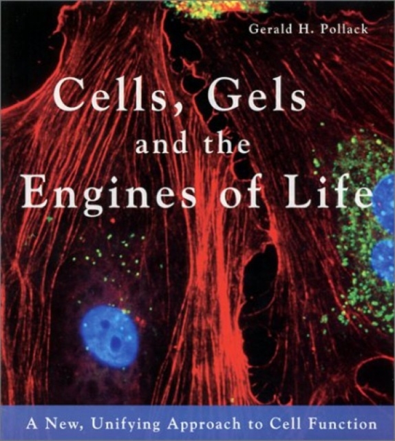 Cells, Gels and the Engines of Life, Paperback / softback Book