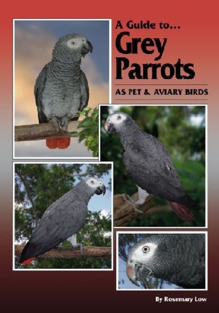 Grey Parrots as Pets and Aviary Birds, Paperback / softback Book