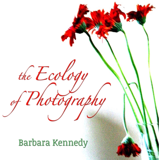 The Ecology of Photography, EPUB eBook