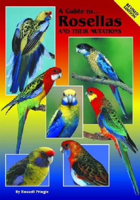 Rosellas and Their Mutations, Paperback / softback Book