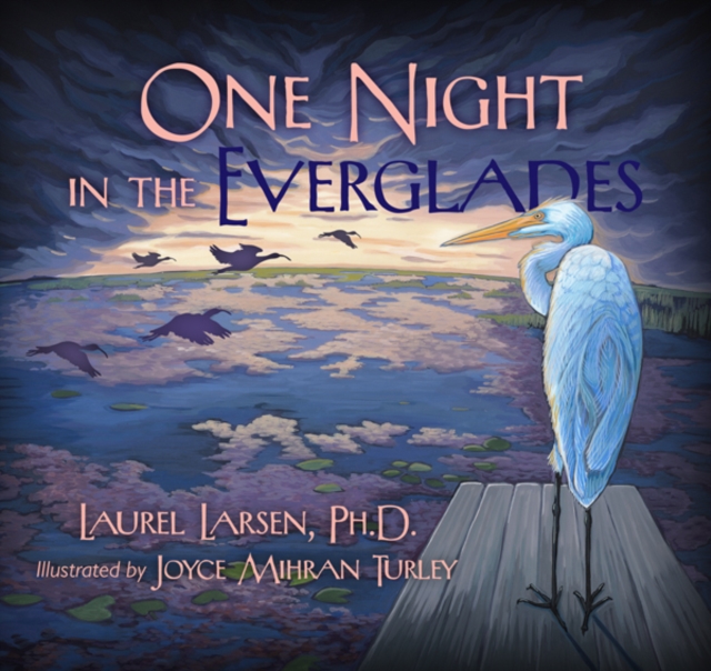 One Night in the Everglades, EPUB eBook