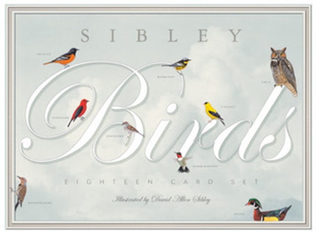 Sibley Birds Eighteen Card Set, Cards Book
