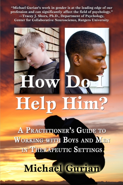 HOW DO I HELP HIM? A Practitioner's Guide To Working With Boys and Men in Therapeutic Settings, EPUB eBook