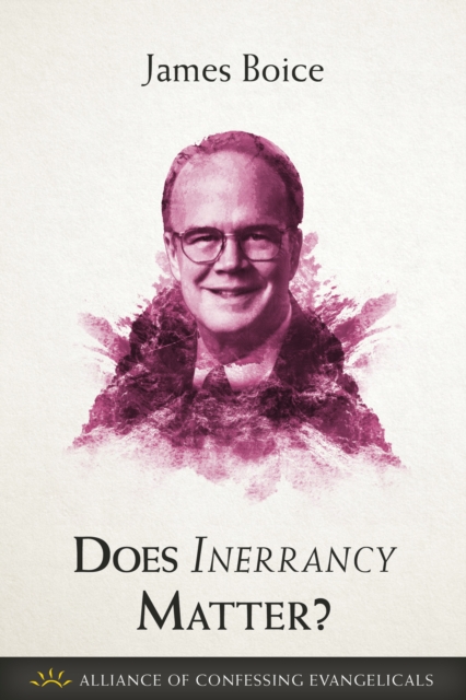 Does Inerrancy Matter?, EPUB eBook