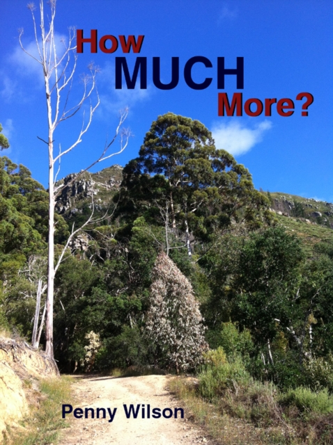 How Much More?, EPUB eBook
