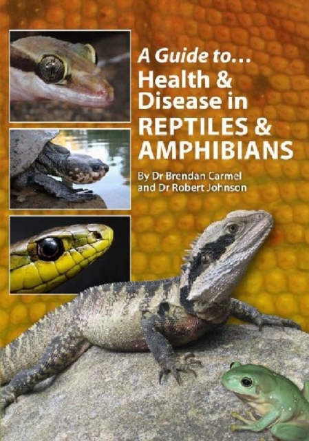 A Guide to Health and Disease in Reptiles and Amphibians, Paperback / softback Book