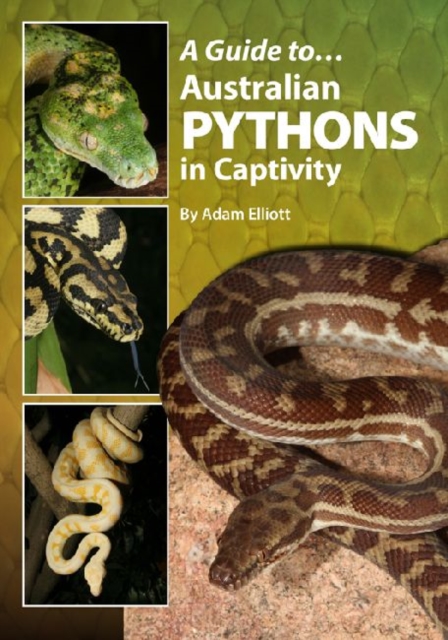 A Guide to Australian Pythons in Captivity, Paperback / softback Book