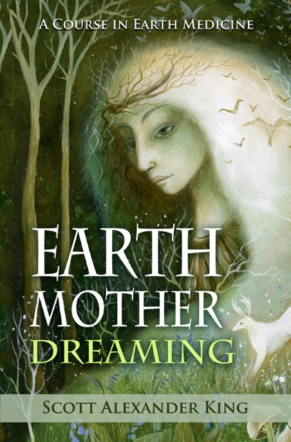 Earth Mother Dreaming : A Course in Earth Medicine, Paperback / softback Book