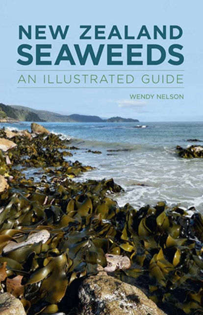 New Zealand Seaweeds: An Illustrated Guide, Paperback / softback Book