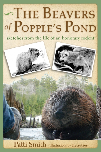 The Beavers of Popple's Pond : Sketches from the Life of an Honorary Rodent, Paperback / softback Book