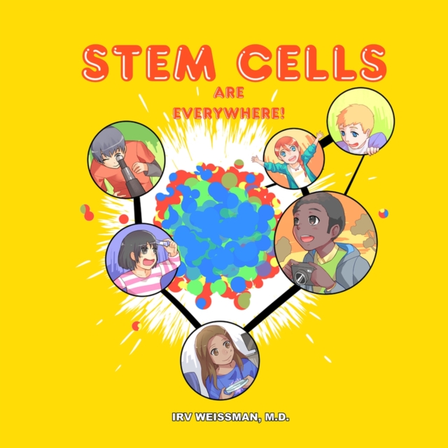 Stem Cells are Everywhere, Paperback / softback Book