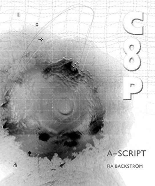 Fia Backstrom: Coop : A-Script, Paperback / softback Book