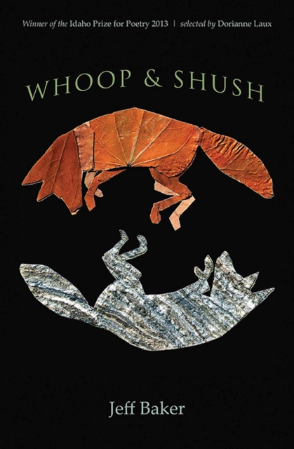 Whoop and Shush, Paperback / softback Book