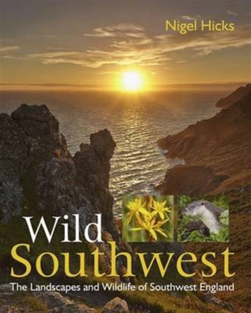Wild Southwest : The Landscapes and Wildlife of Southwest England, Paperback / softback Book