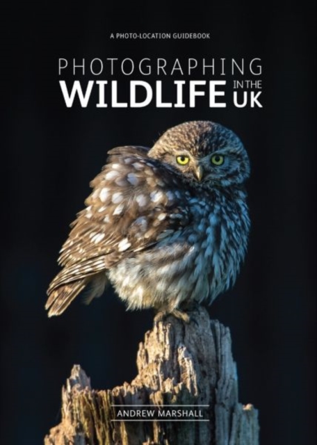 Photographing Wildlife in the UK : Where and How to Take Great Wildlife Photographs, Paperback / softback Book