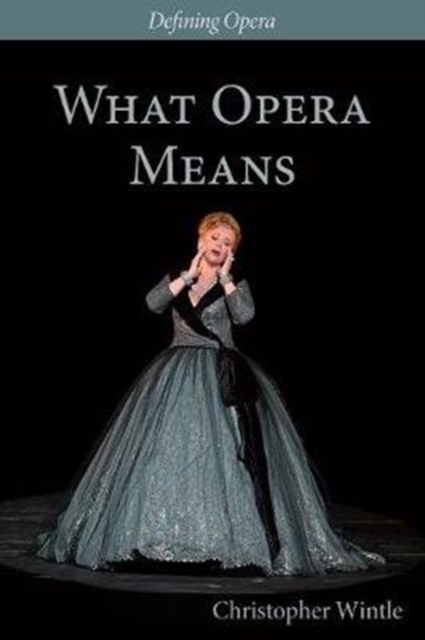 What Opera Means : Categories and Case-studies, Hardback Book