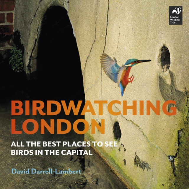 Birdwatching London : The Best Places to See Birds in the Capital, Paperback / softback Book
