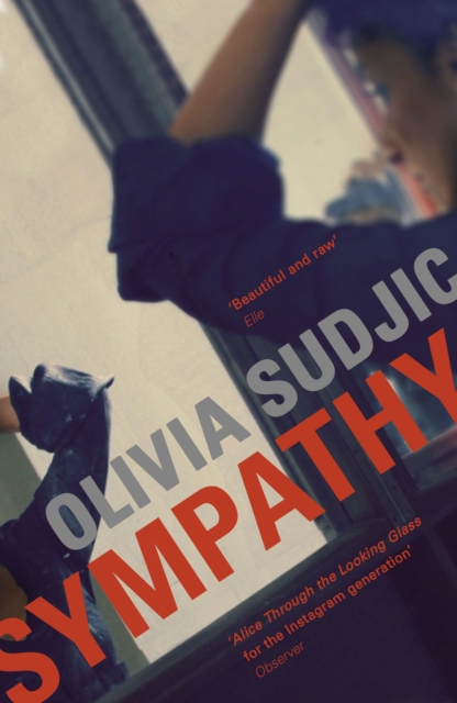 Sympathy, Paperback / softback Book