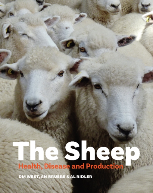 The Sheep : Health, Disease and Production, Paperback / softback Book